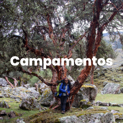 Caminatas (1) Caminatas (1)
